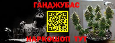 гидра Будённовск