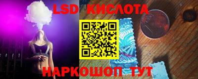 гидра Будённовск