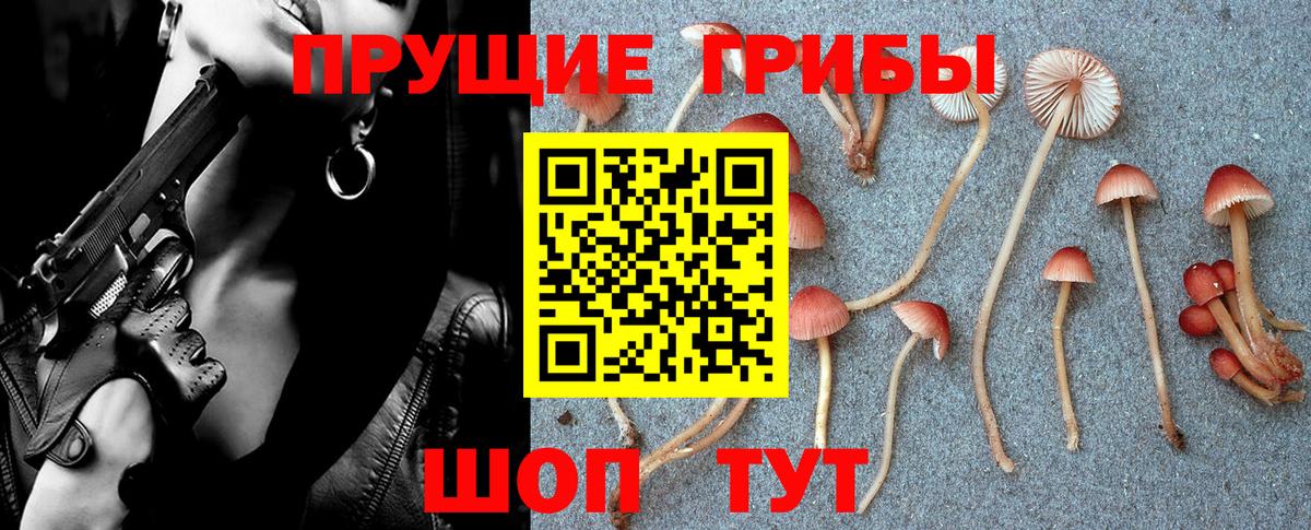 Псилоцибиновые грибы Cubensis  Вход с VPN  Псилоцибиновые грибы Magic Shrooms  Шелехов 